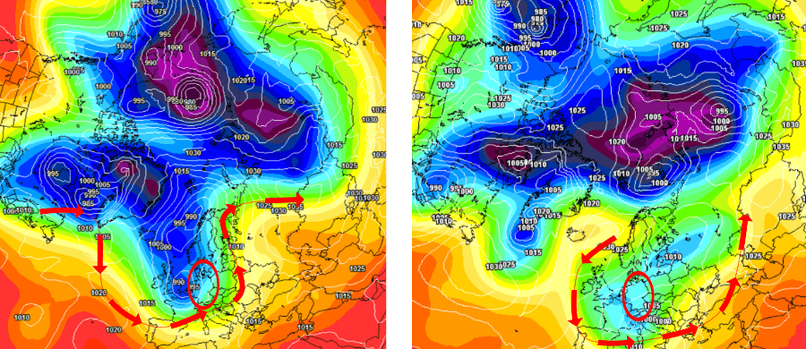 Der Vollherbst in der ersten Novemberdekade mit frühwinterlichen Ambitionen Der Vollherbst in der ersten Novemberdekade mit frühwinterlichen Ambitionen