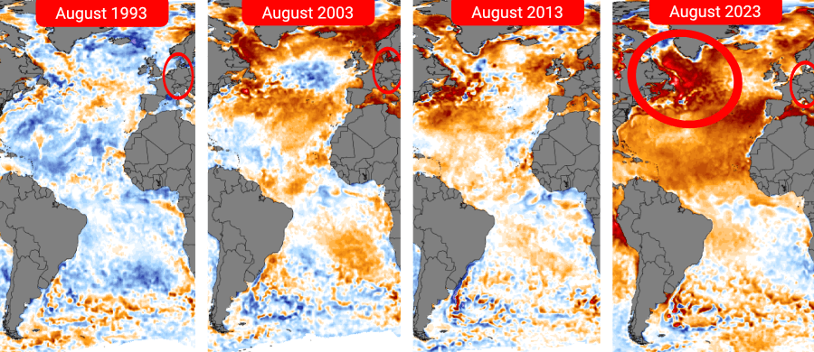 Die Anomalie der Temperatur der Meeresoberfläche