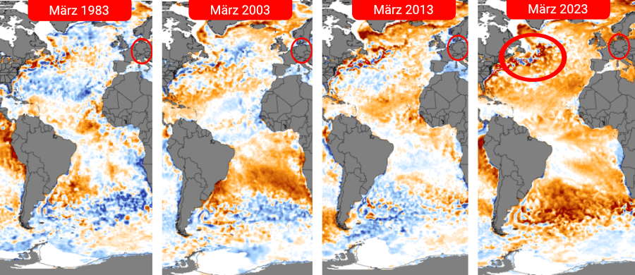 Die aktuelle Temperaturanomalie auf dem Atlantik im Vergleich zu den letzten Jahren Die aktuelle Temperaturanomalie auf dem Atlantik im Vergleich zu den letzten Jahren