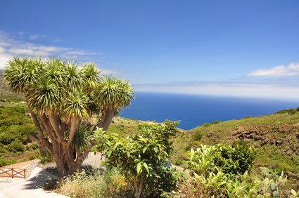 Wetter Kanaren, Cran Canaria & Teneriffa im März, April und Mai