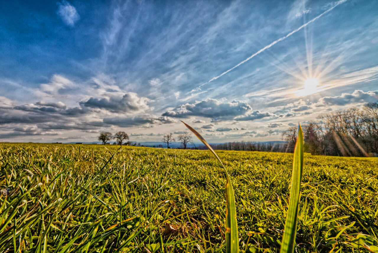 Der Frühling wagt sich vor Ostern nach Deutschland