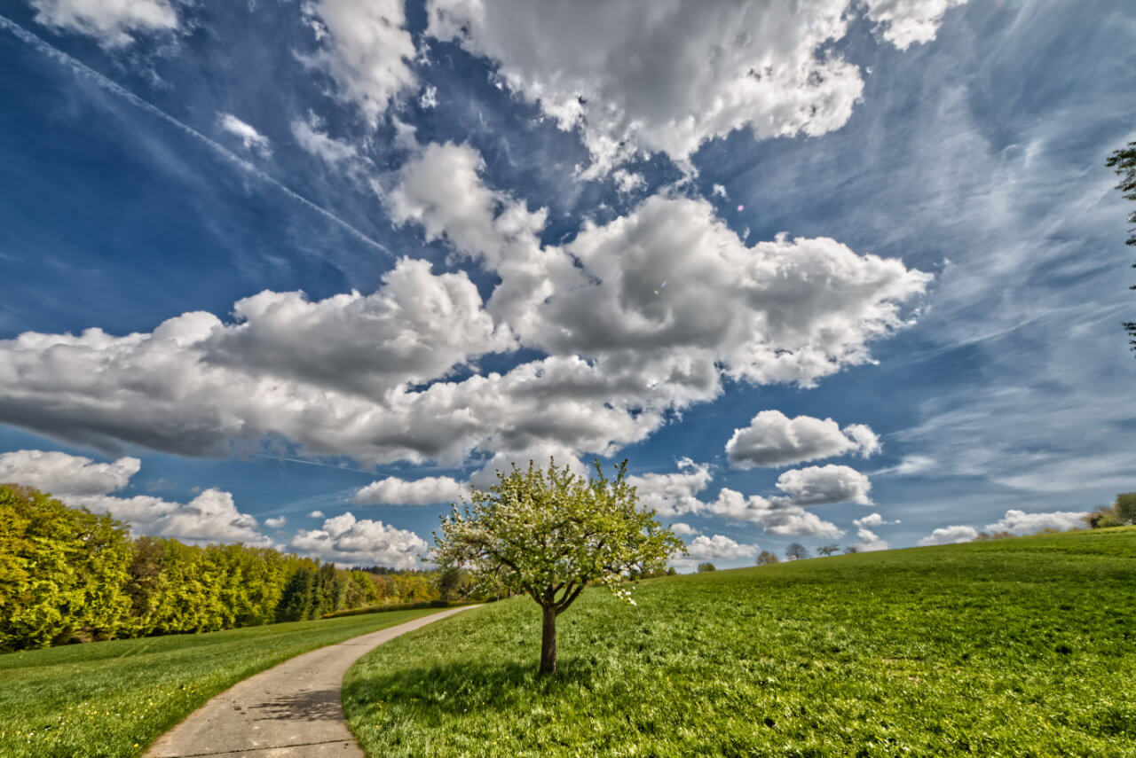 Eine frühlingshaft milde Temperaturentwicklung vor Ostern