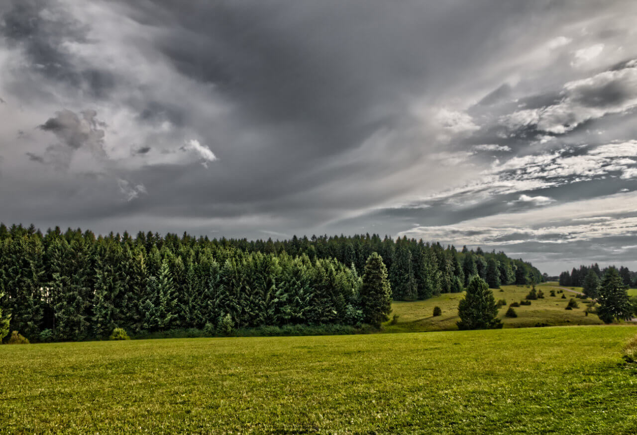 Launisches August-Wetter