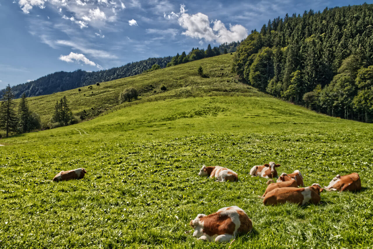 Sommerwetter im August