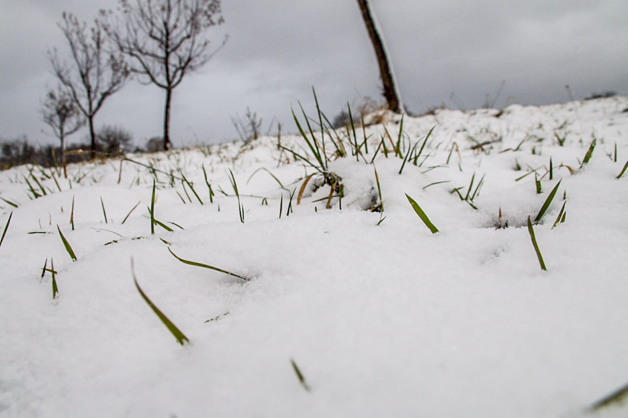 Schnee bis auf mittlere Lagen herab