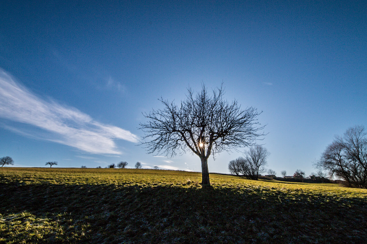 Das Wetter im Dezember wird zunächst ruhiger und noch etwas kälter Das Wetter im Dezember wird zunächst ruhiger und noch etwas kälter