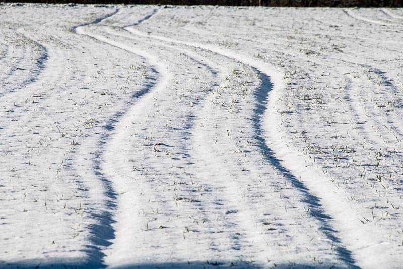 Wetter im Februar: Verbreitet Sonnenschein am Dienstag, Mittwoch und Freitag - mancherorts auch mit einer dünnen Schneedecke