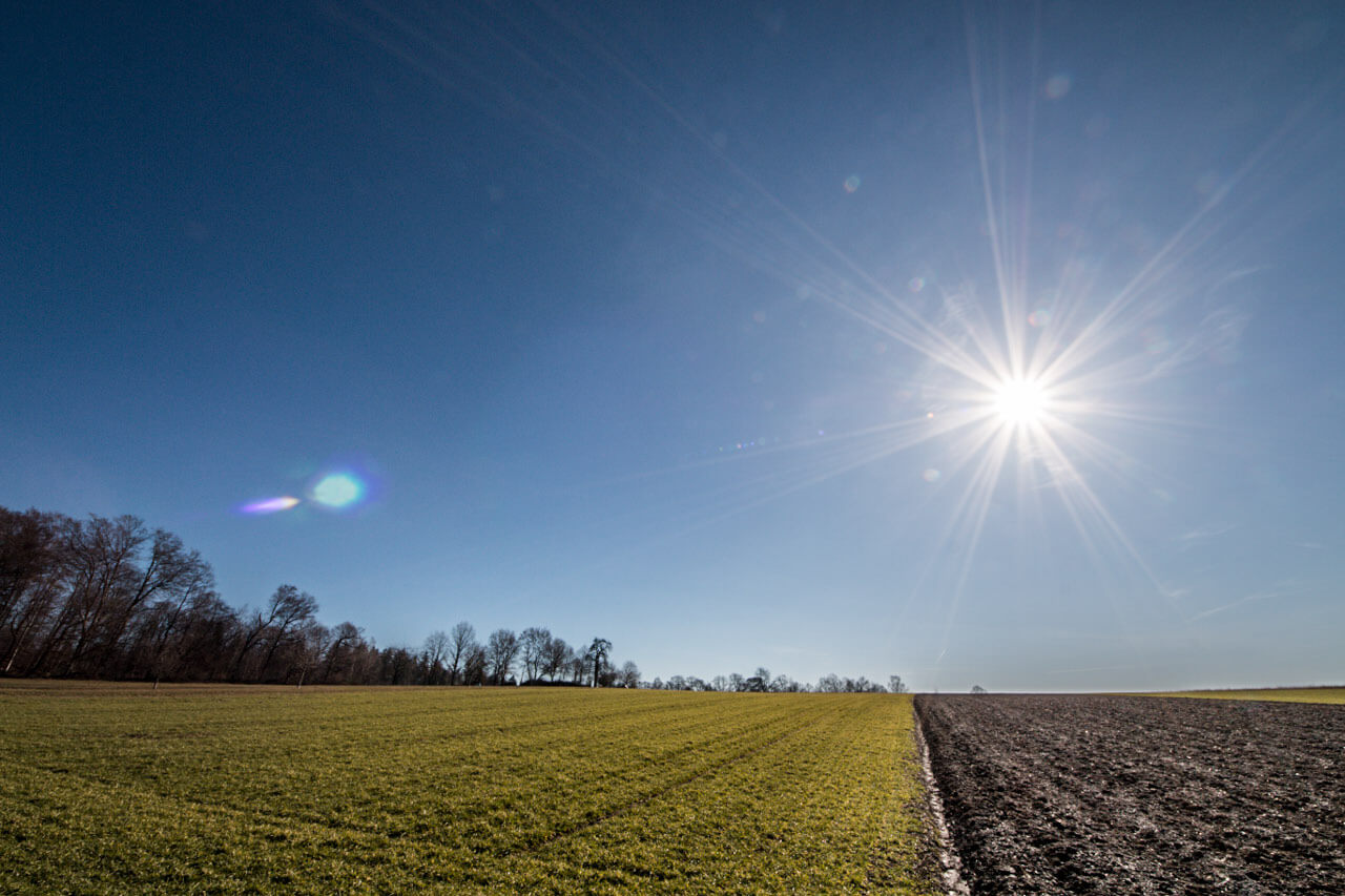 Sonniges, trockenes und mildes Wetter im Februar 2019