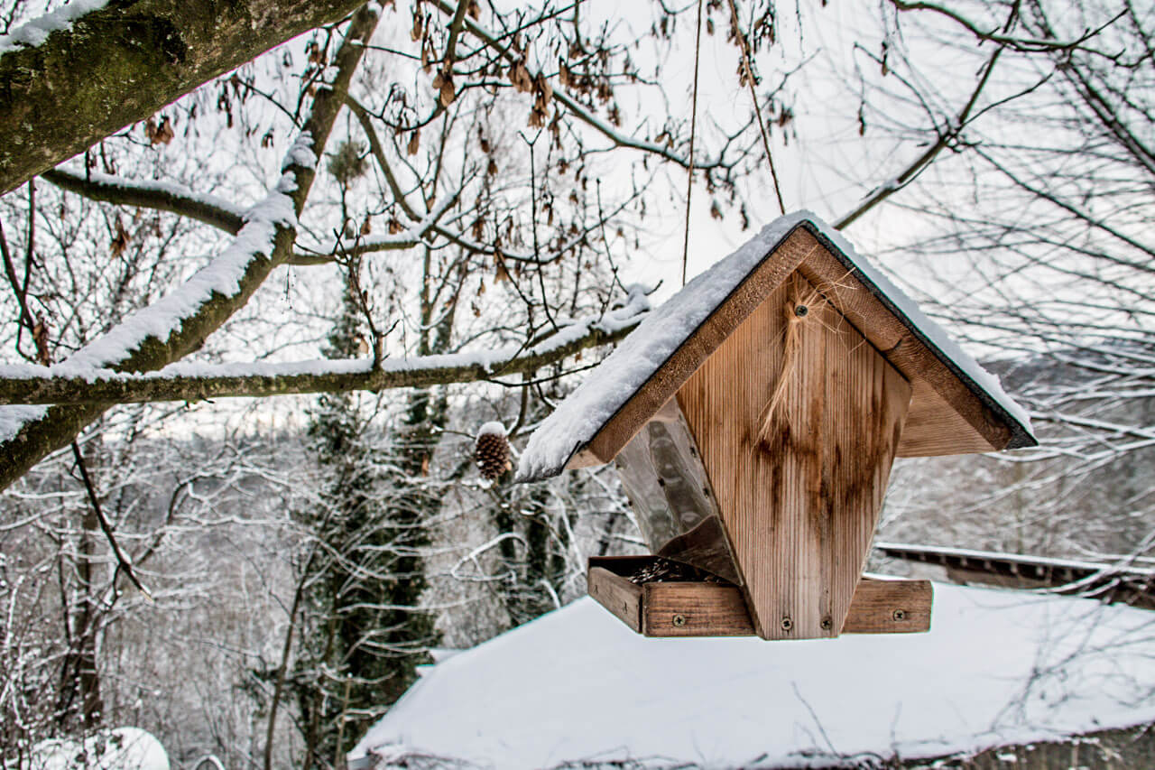 Ein winterlicher Wettercharakter mit Eis und Schnee?