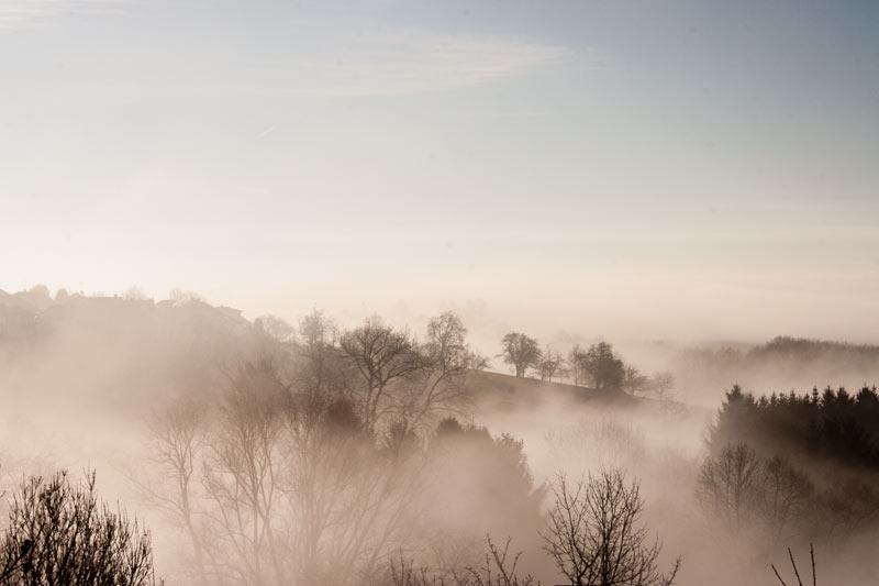 Ruhiges Hochdruckwetter, oder zeigt sich im Januar 2019 der Winter?