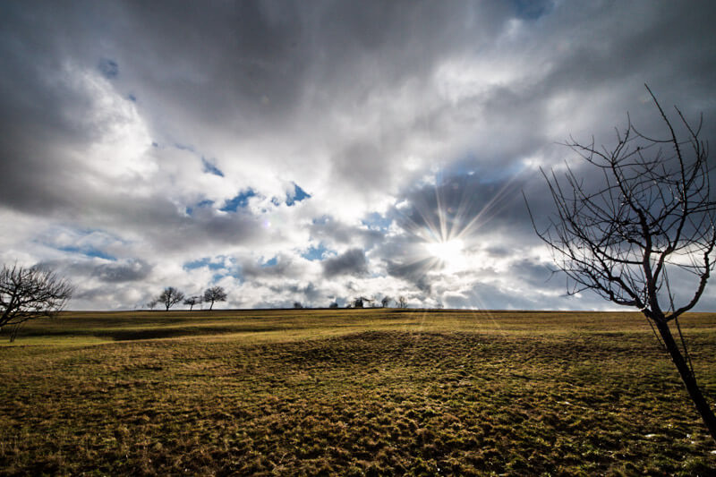 Tauwetter bis in die mittleren Lagen