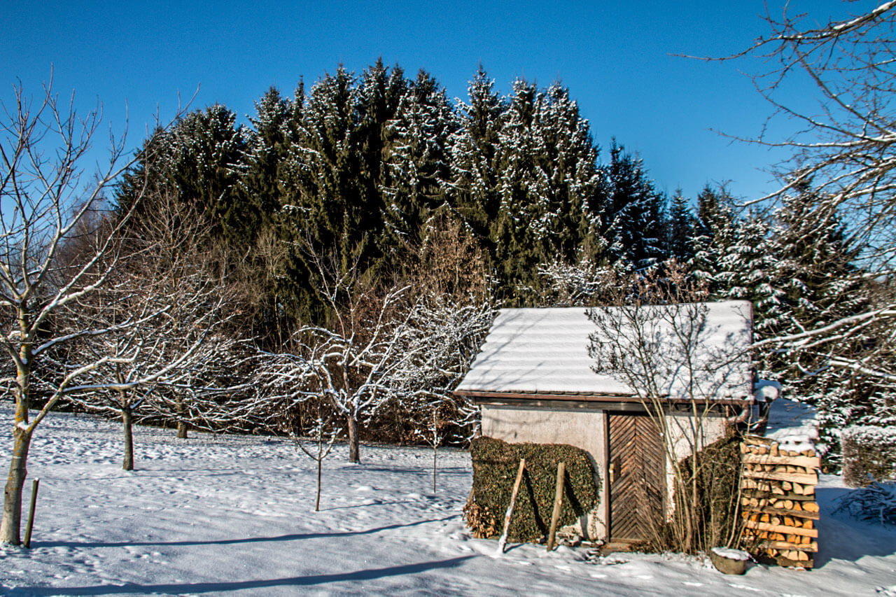 Reicht es im Januar noch für Winterwetter bis ins Flachland?