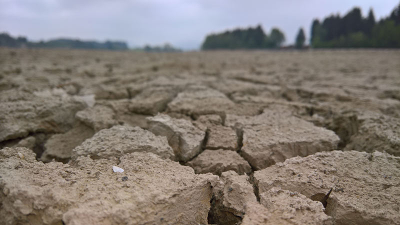 In manchen Regionen zeigt sich der Sommer äußerst trocken