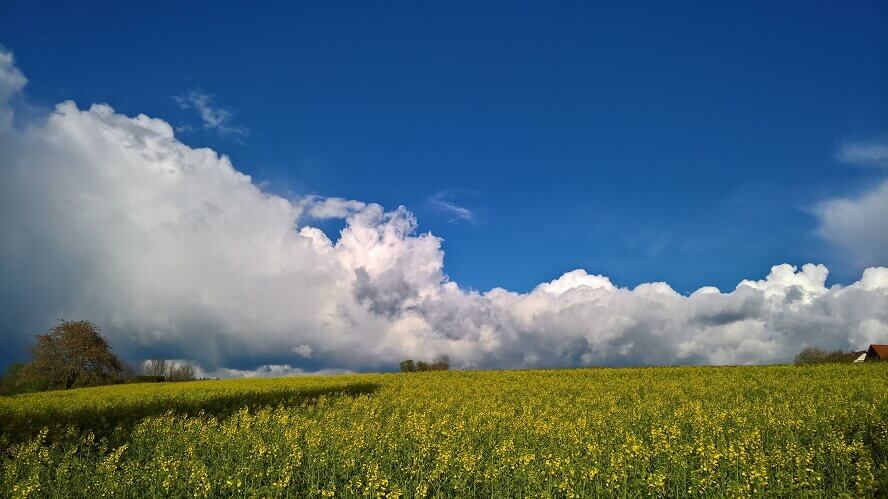 Anfang Juni 2018 verbleibt Deutschland, Österreich und die Schweiz in einem gradientenschwachen und wenig dynamischen Wetterumfeld, was zu teils kräftigen Schauern und Gewittern führen kann, doch die Temperaturen bleiben sommerlich warm