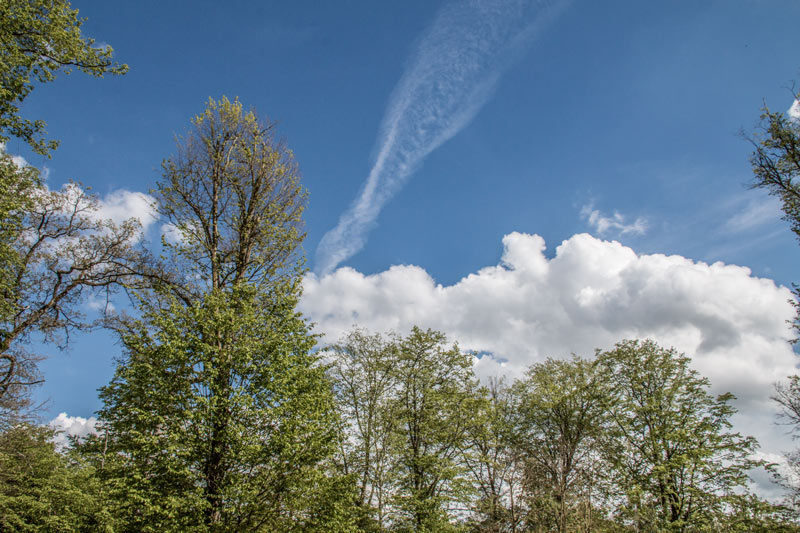 Sommerlich warme und feuchte Luftmassen erreichen am Wochenende Deutschland und sorgen für kräftige Schauer und Gewitter