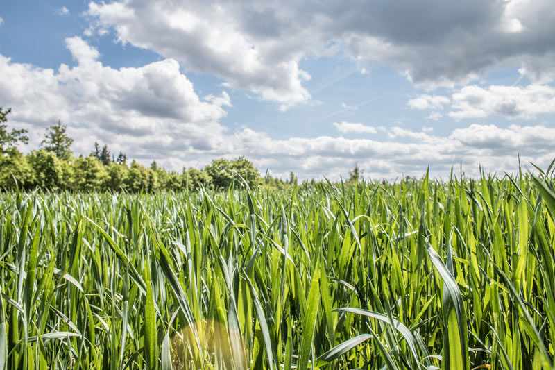 Sommerlich warmes Maiwetter