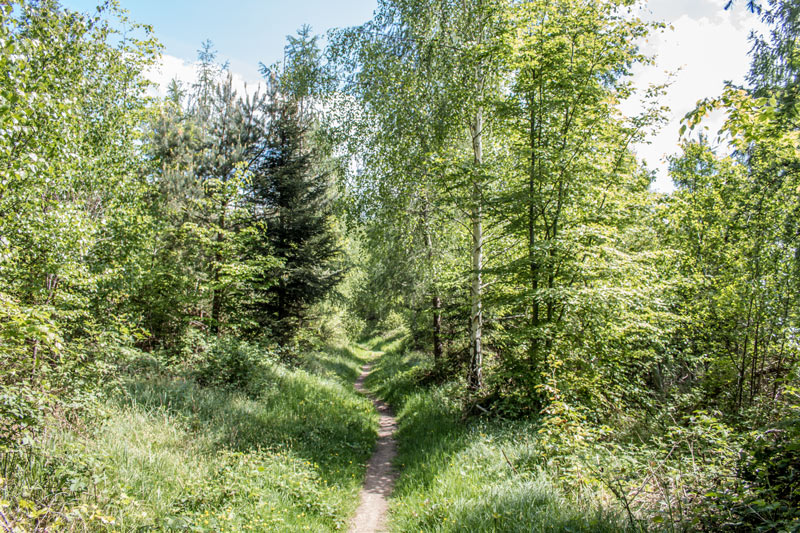 Der Frühling muss sich etwas gedulden Der Frühling muss sich etwas gedulden