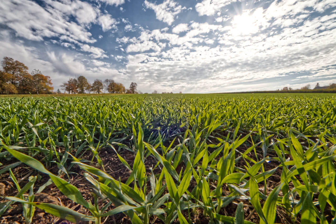 Leicht unbeständiges Herbst-Wetter