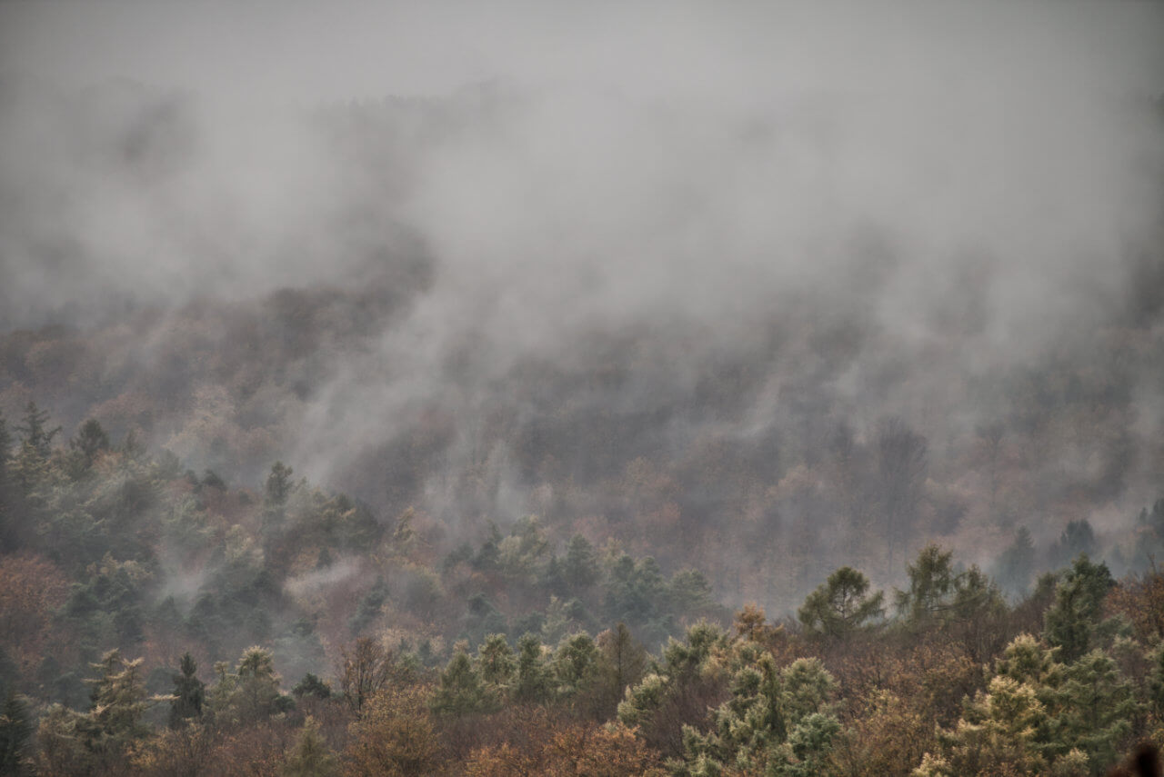 Nebel und zeitweiliger Niederschlag Nebel und zeitweiliger Niederschlag