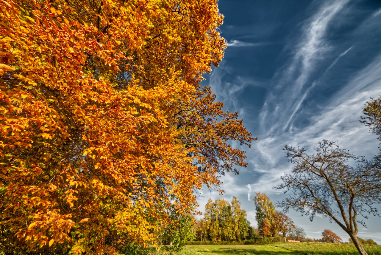 Der goldene Oktober 2018: für die einen ein Fluch, für die anderen ein Segen