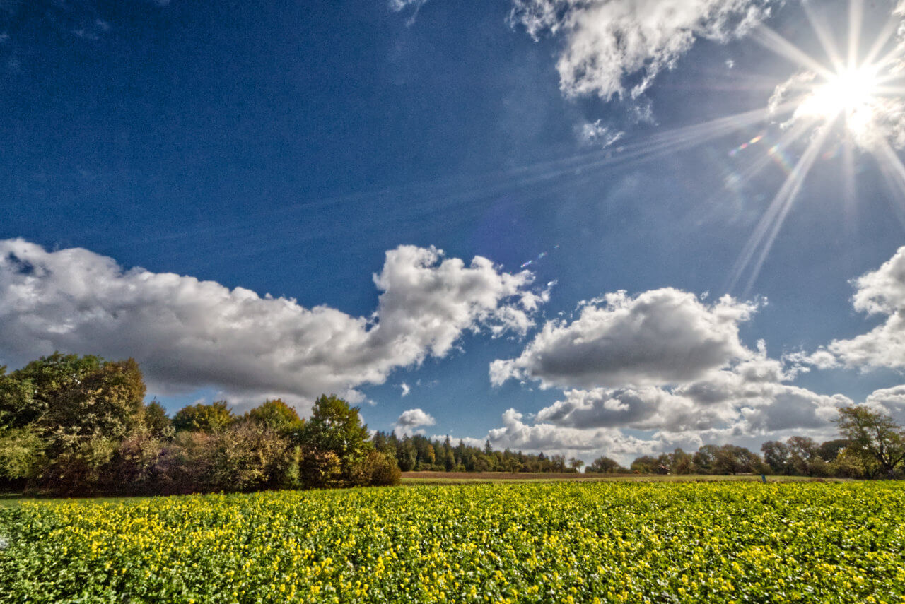 Von Süden mehren sich die sonnigen Lücken und die Temperaturen steigen kräftig an