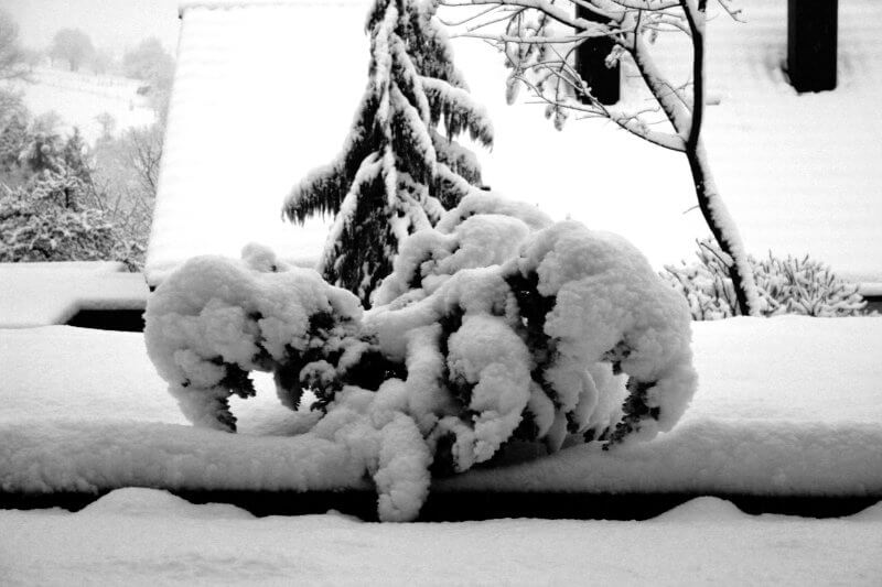 Bild zeigt kräftigen Schneefall am 23. März 2007