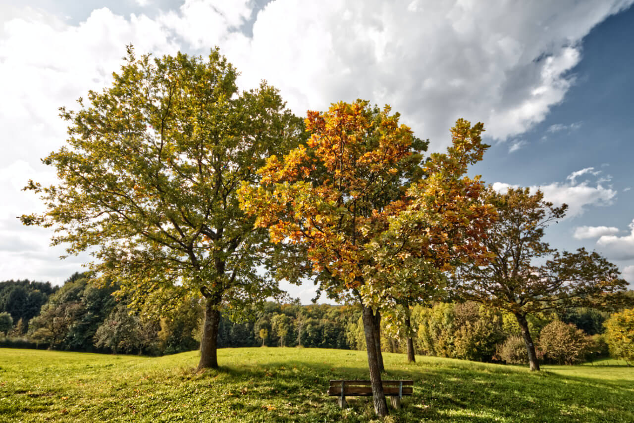 Der September war bislang mehr vom Sommer als vom Herbst geprägt