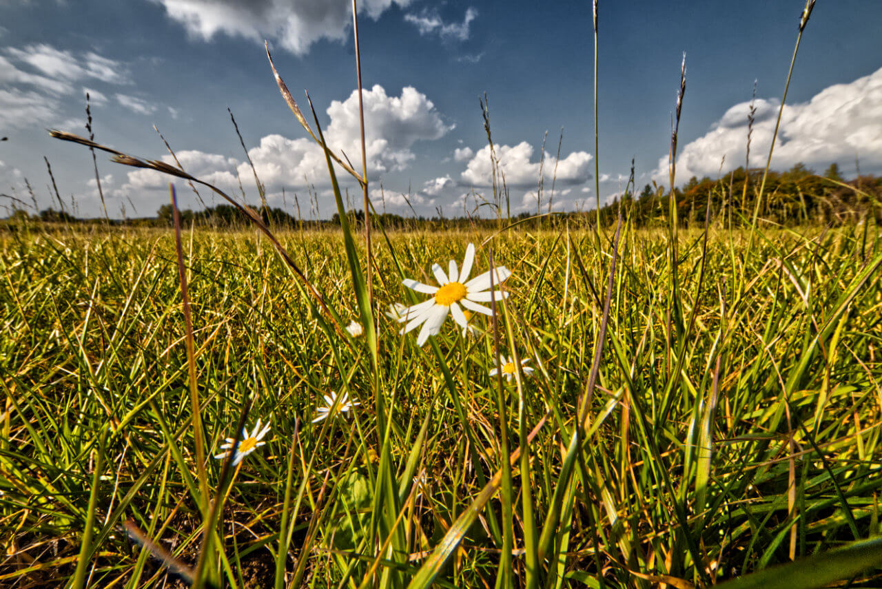 Ein spätsommerlicher oder gar sommerlicher Herbstauftakt?