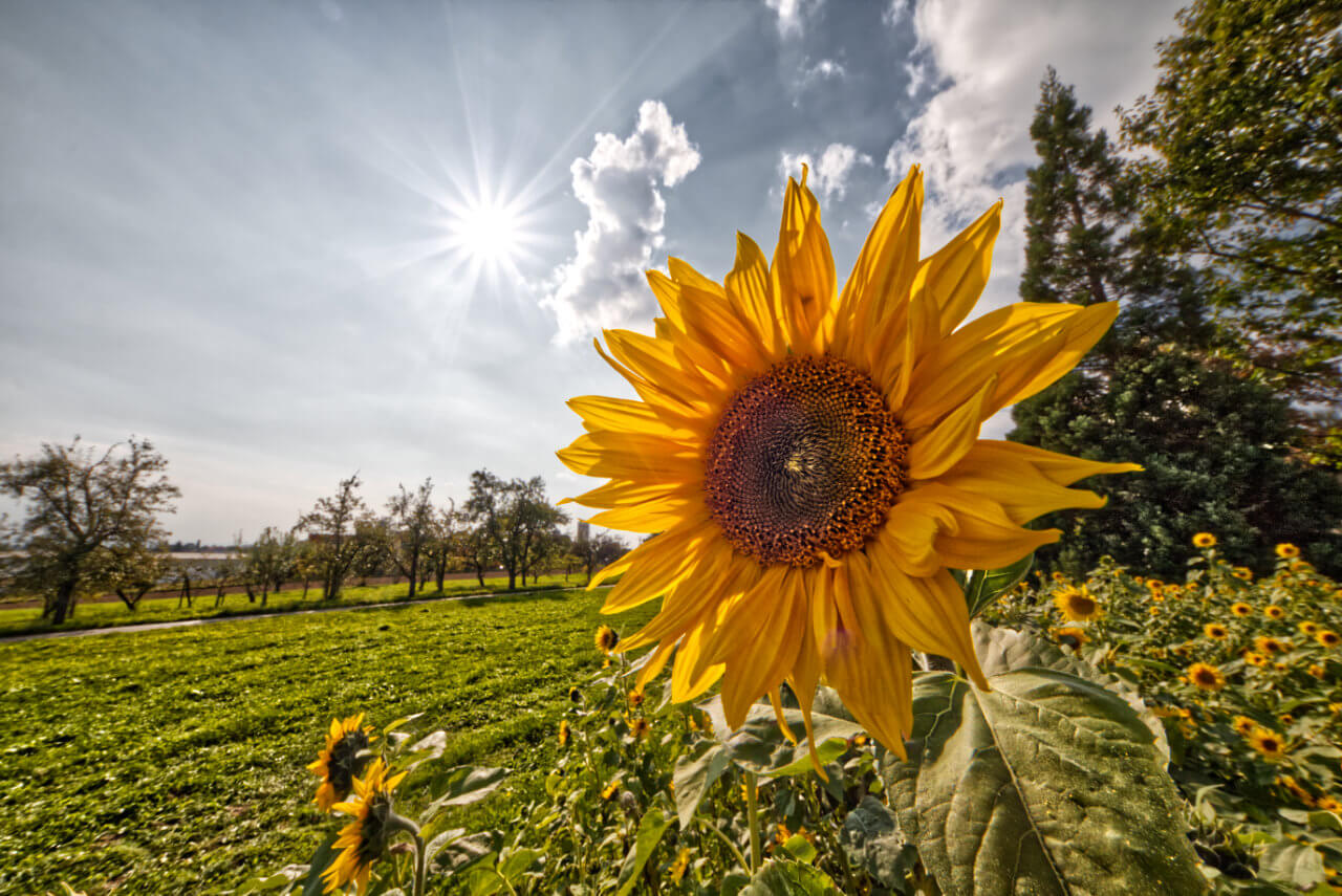 Goldener Oktober am Wochenende