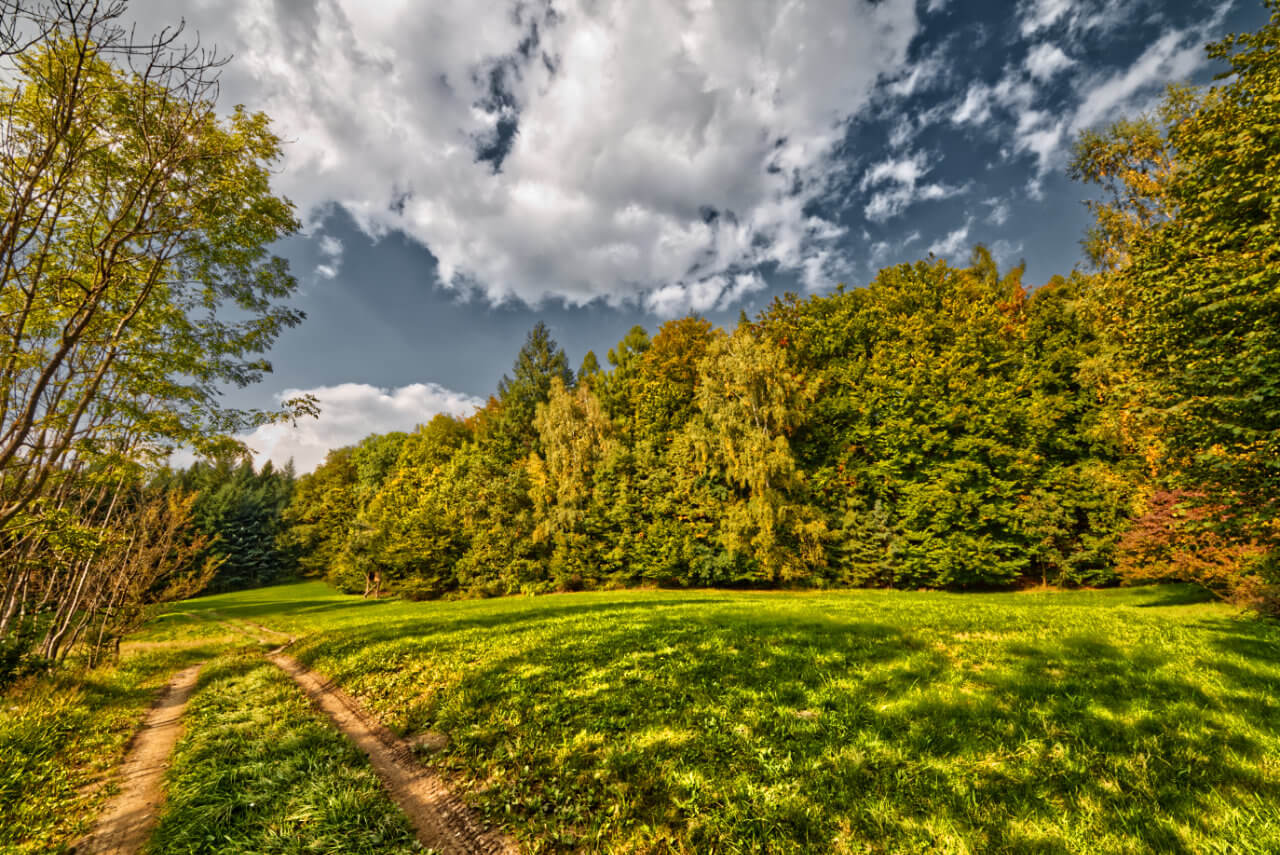 Goldener Oktober bis zur Wochenmitte