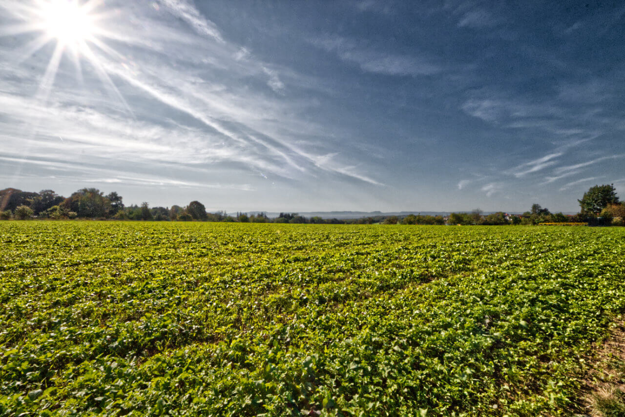 Ein zunehmend spätsommerliches Septemberwetter Ein zunehmend spätsommerliches Septemberwetter