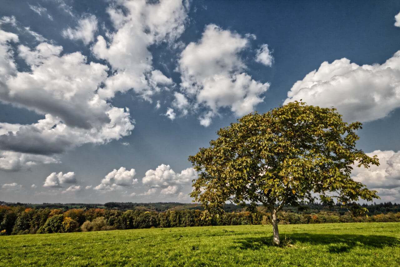 Ein leicht unbeständiges Septemberwetter