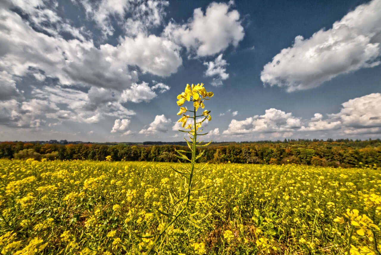 Der September zeigt sich von seiner sommerlich warmen Seite - Freunde vom Herbstwetter müssen sich noch etwas gedulden