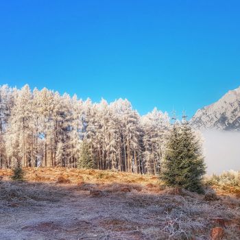 Verbreitet frostiges und sonniges Dezemberwetter © Martin Bloch