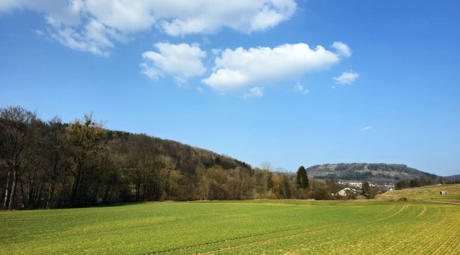 Das Wetter im März 2025 war deutlich zu warm, extrem trocken und ungewöhnlich sonnig