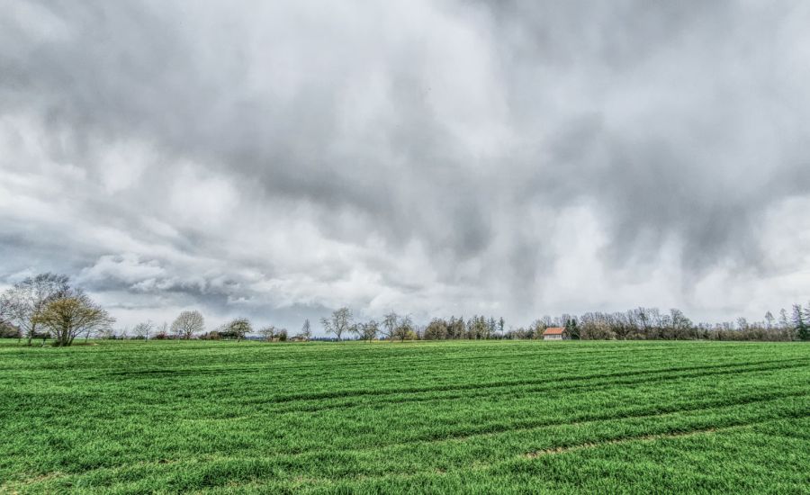 Die Temperaturen an Ostern - Schneeschauer sind möglich