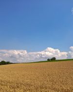 Eine weitere hochsommerliche Wetterphase bahnt sich zum Ende des Siebenschläferzeitraums an