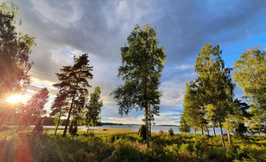 Goldener Oktober oder windiges Herbstwetter?