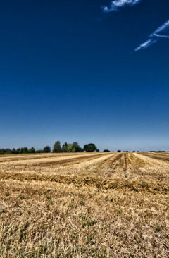 Wetter Sommer 2020 - Daten und Fakten