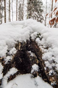 Wetter Januar 2013 - Daten und Fakten