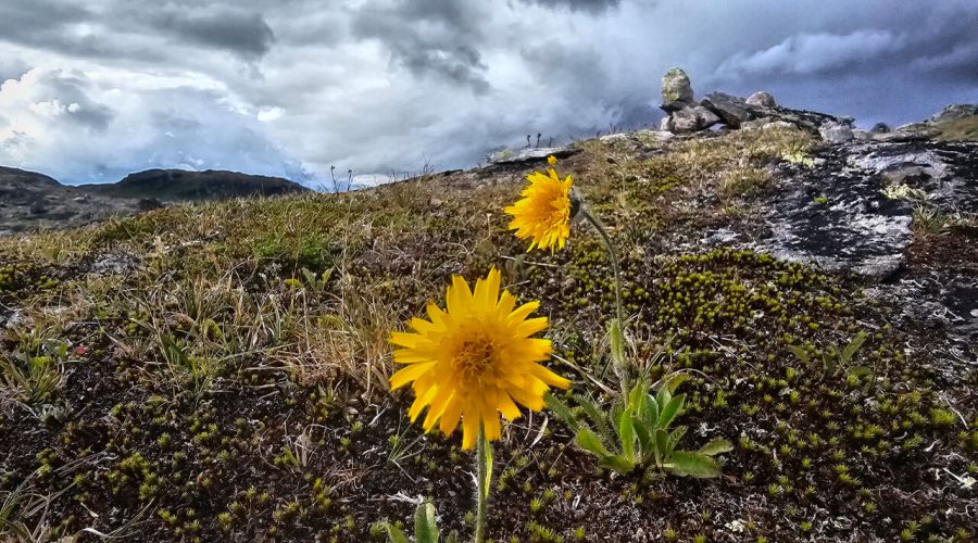 Beenden kräftige Schauer und Gewitter den Hochsommer über Deutschland?
