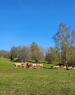 Ausbleibender Niederschlag über dem Norden - droht eine Verlängerung der außergewöhnlichen Dürre?