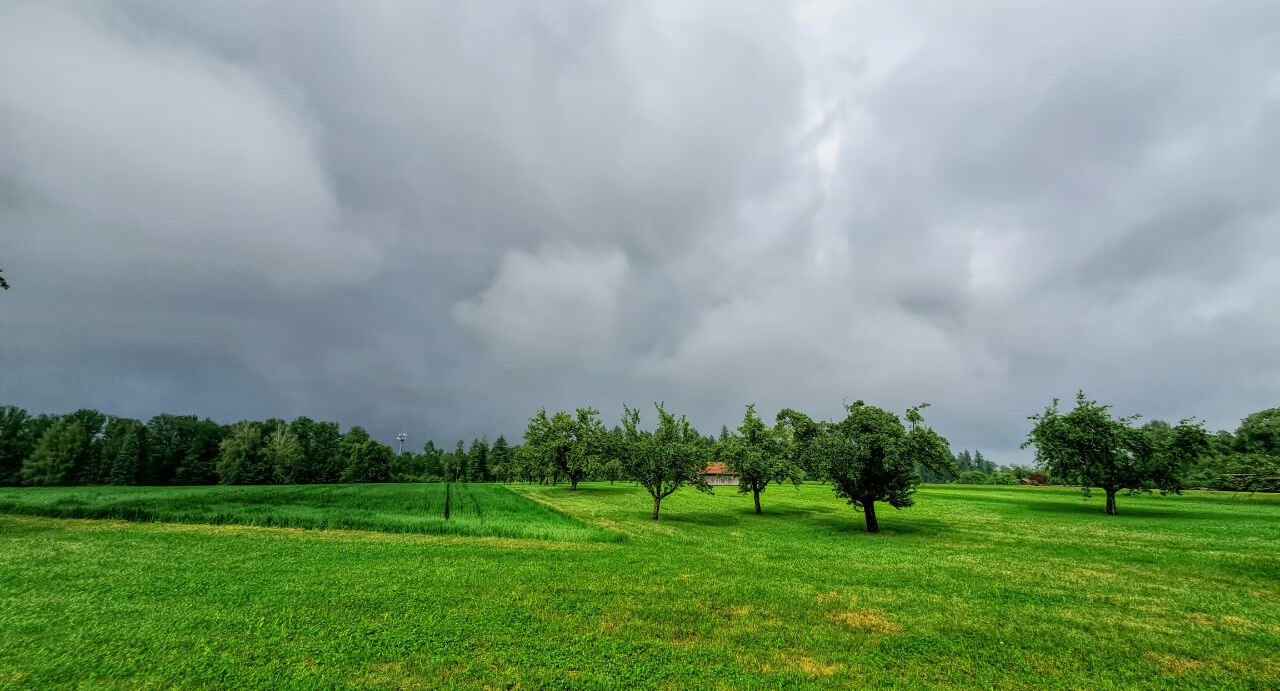 Nimbostratus