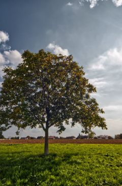 Wetter September 2014 - Daten und Fakten