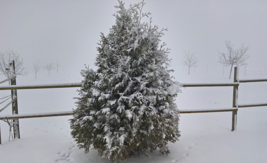 Winterliche Wetteraussichten bis auf das Flachland herab?