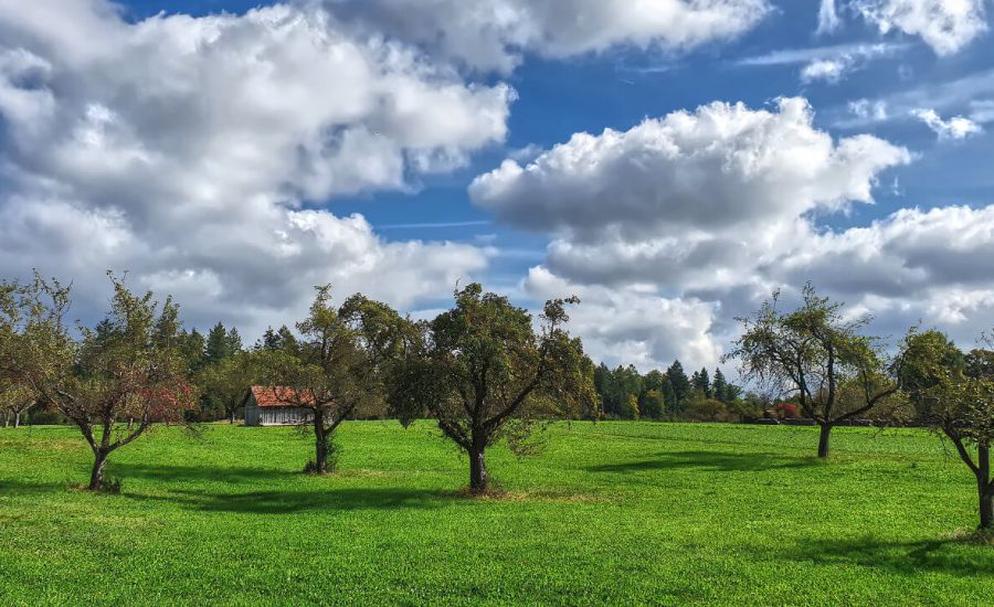 Goldenes Oktoberwetter