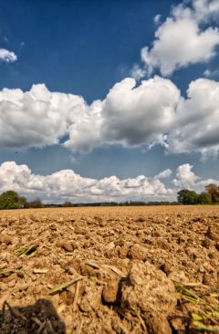 Wetter September 2020 - Daten und Fakten