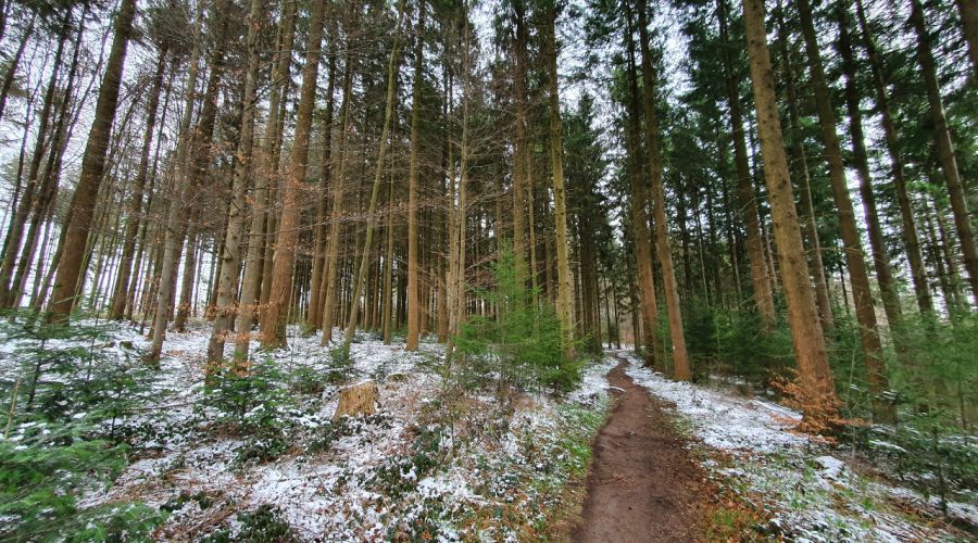 Statt Frühling - Polarluft kann nochmals für winterliche Wettererscheinungen sorgen