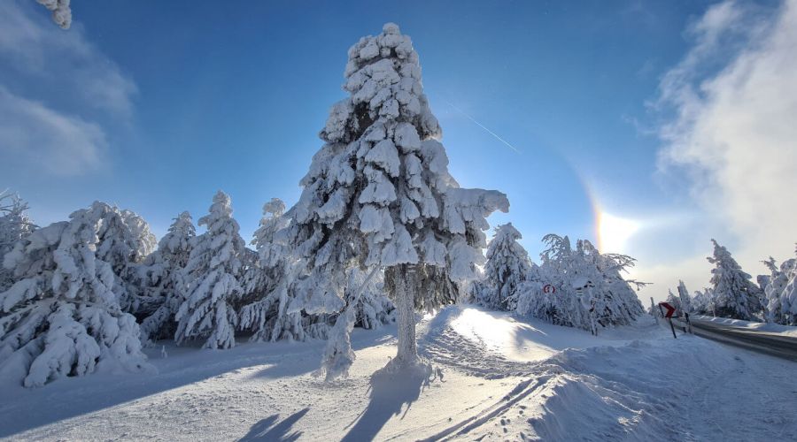 Winterwunderland zu Weihnachten oder der Durchbruch der atlantischen Frontalzone © Martin Bloch