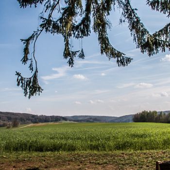 Eine frühsommerliche oder sommerliche Temperaturentwicklung Anfang Mai?